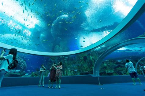 THE 10 BEST Zoos & Aquariums in Asia (Updated 2024) .